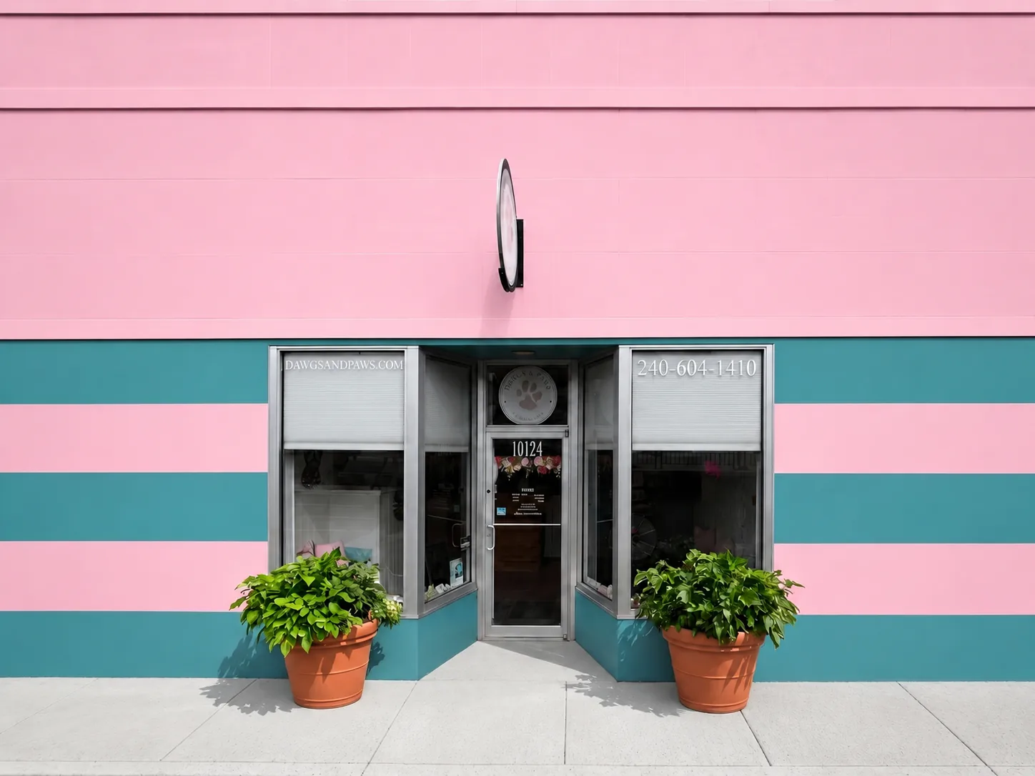 Dawgs and Paws storefront in Silver Spring, pink and teal striped facade with potted plants at the entrance